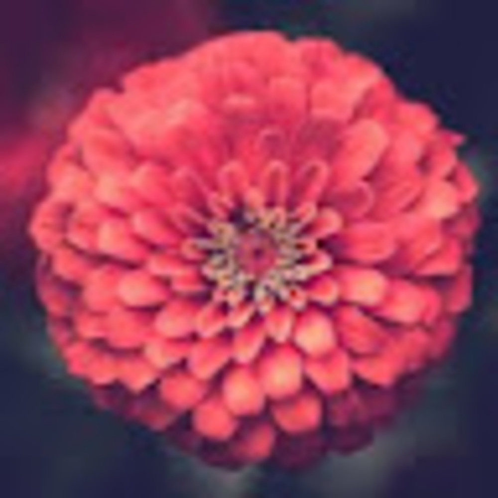 Meet your Posher, Neka